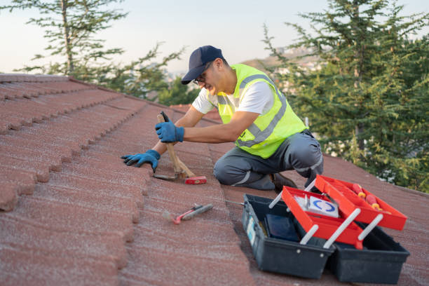 Best Local Roofing Companies  in Myrtle Grove, NC
