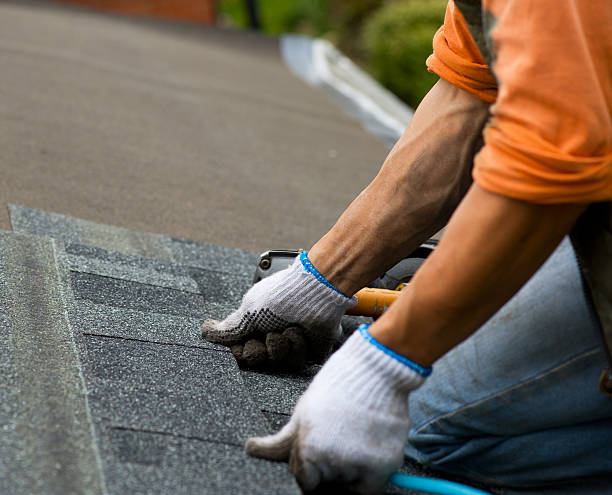 Best Flat Roof Repair Services  in Myrtle Grove, NC