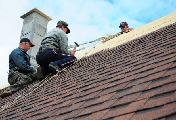 Best Roof Maintenance Services  in Myrtle Grove, NC