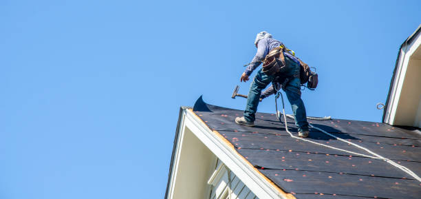 Best Metal Roofing Contractor  in Myrtle Grove, NC